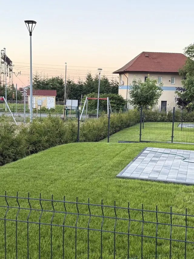 Ogrodzona działka z młodym żywopłotem z tui Brabant - realizacja deweloperska w Rumi, opinia Adama